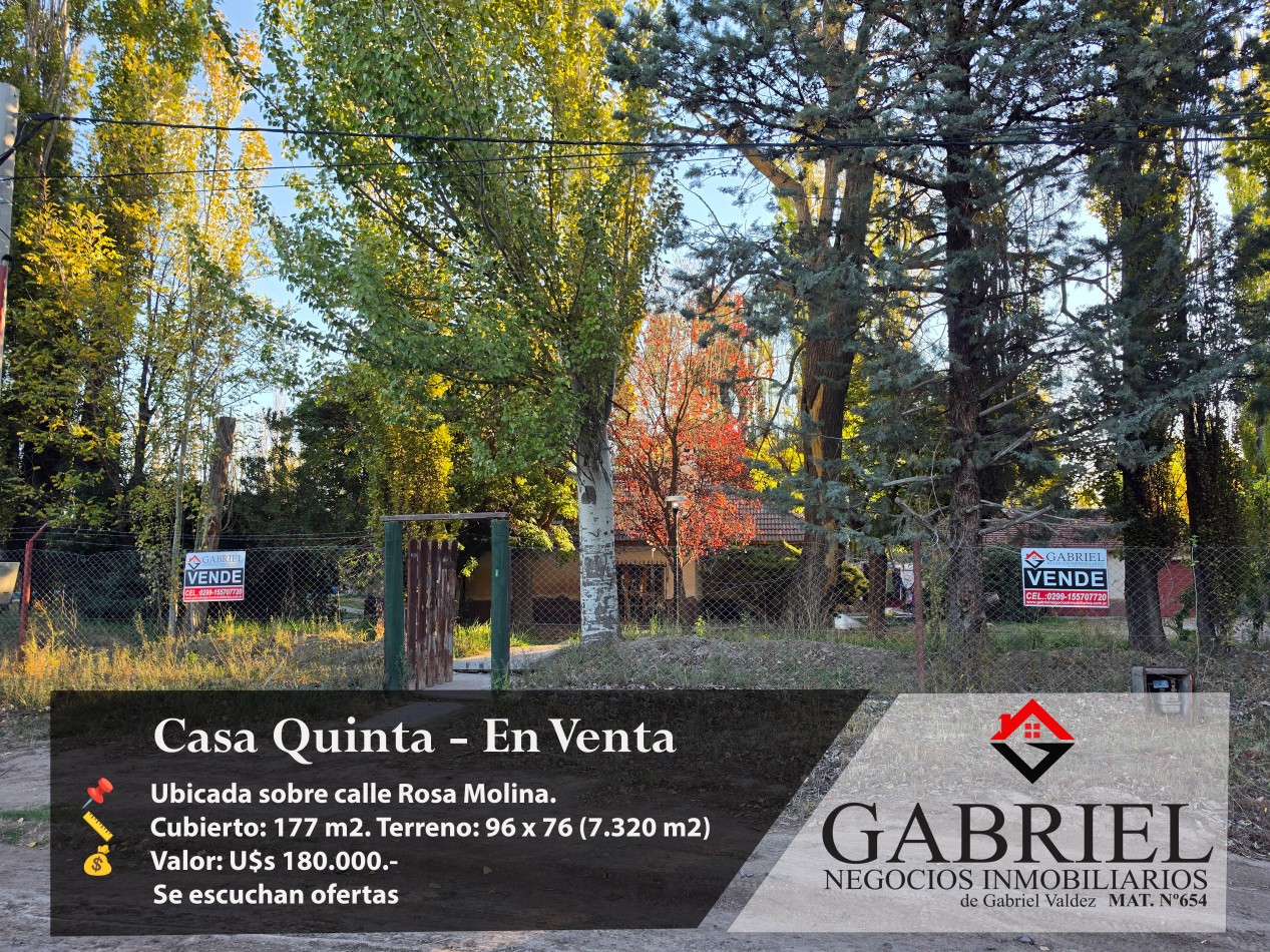 Casa Quinta - En Venta